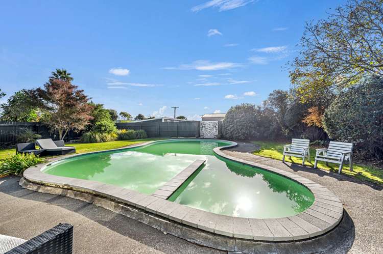 33 Pitt Street Clive_16