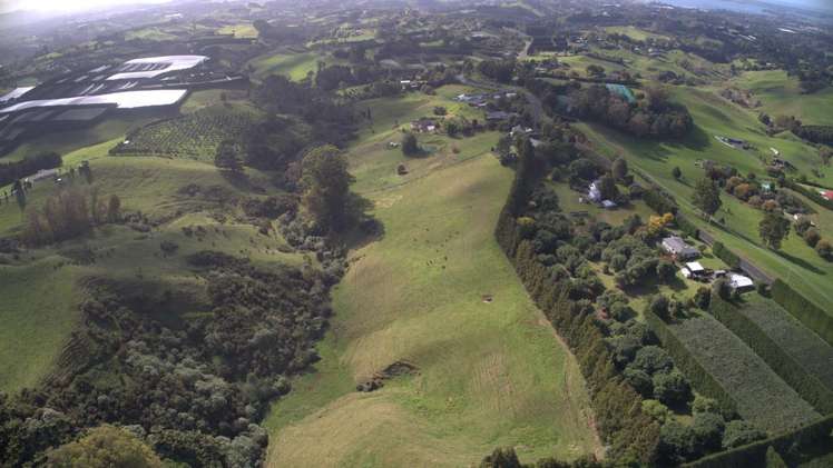 482B Esdaile Road Whakamarama_4