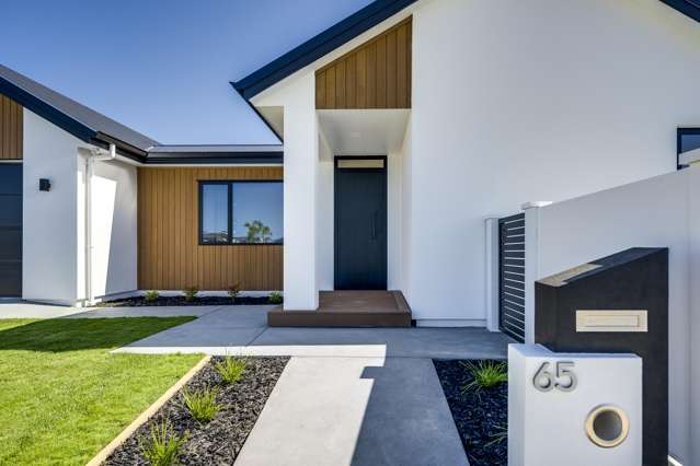 65 Wai Whatu Street Te Awa_1