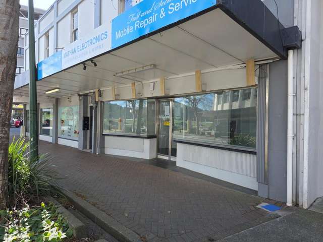 108 High Street Lower Hutt_1