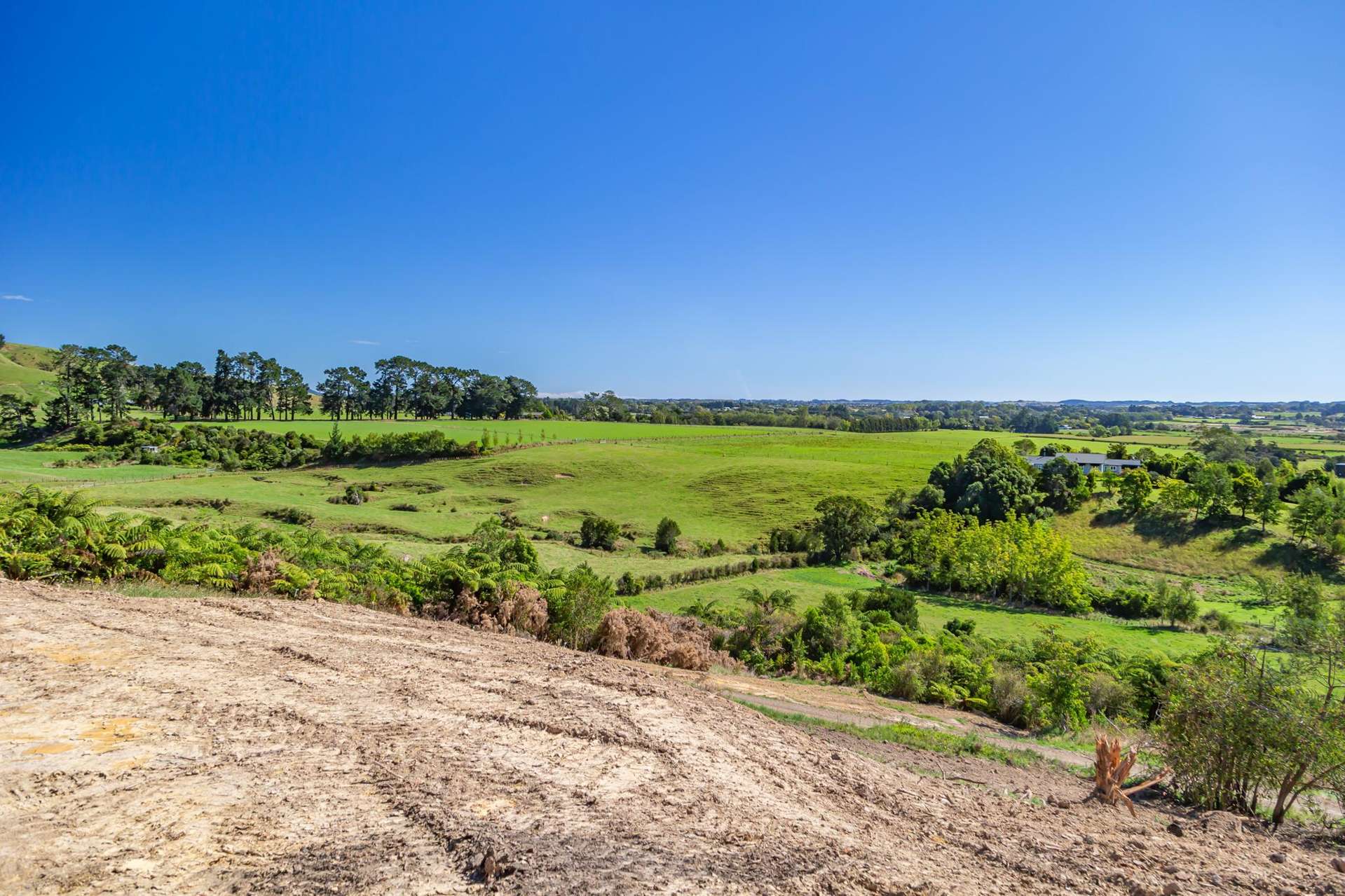 245B Wallace Road Koputaroa_0