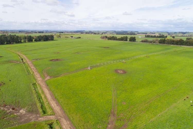 287 State Highway 1 Bulls_3