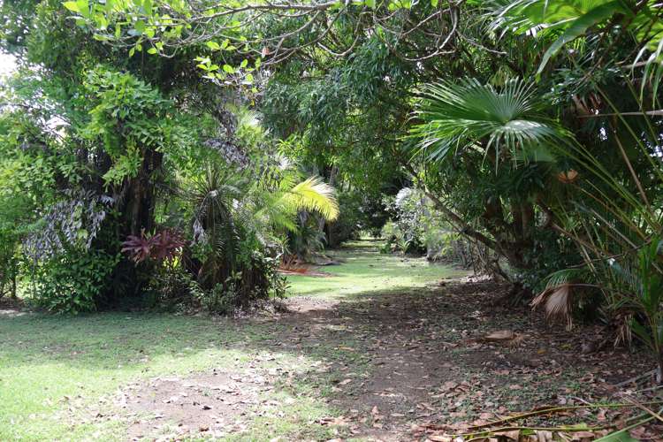 Lot 1 Uciwai Nadi_22
