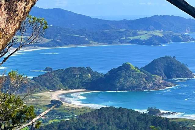 Station R/Lot 7 Medland Road Great Barrier Island_2