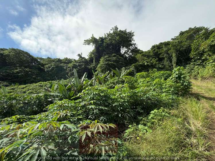 Address withheld Savusavu_18