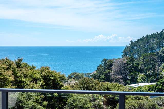 81 Coromandel Road Oneroa_4