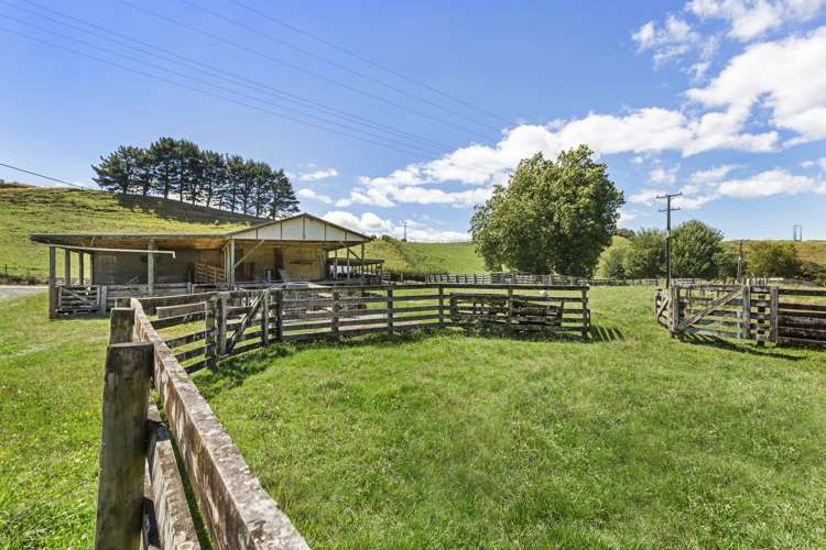 Te Tahi Road Puketotara_5