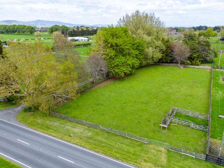 1212 Kaipaki Road Cambridge_28