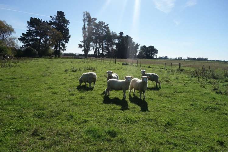 172 Milltown Road Southbridge_13