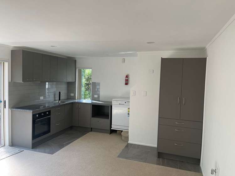 48 Tiri Tiri Road Birkdale_0