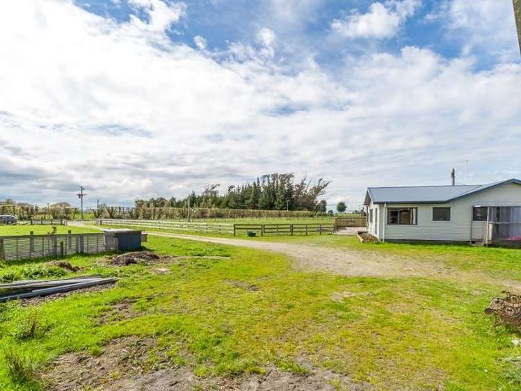 361 Whales Line Marton_23