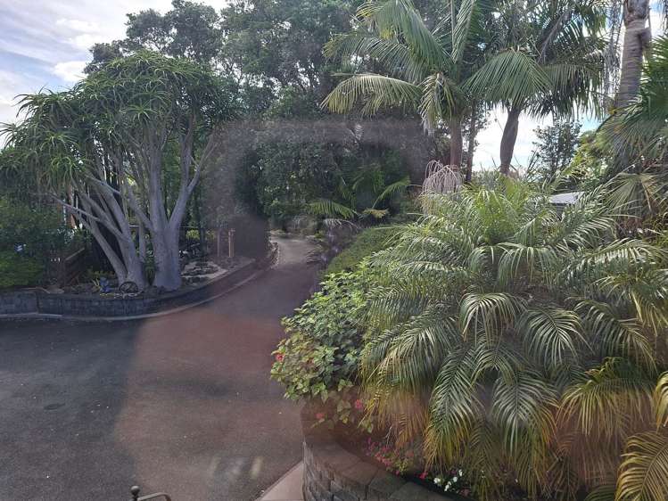 13 Camellia Avenue_0