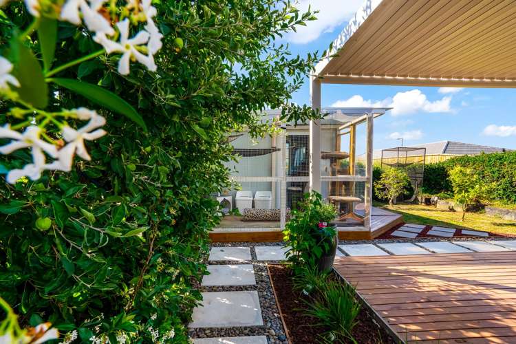 158 Rimu Street Te Kauwhata_17