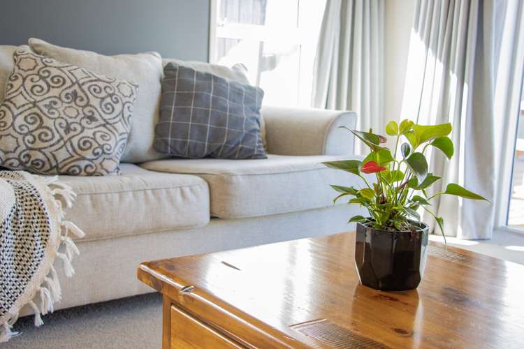 4 Mediterranean Grove Fitzherbert_7