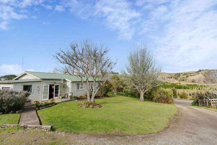 2192 Omana Road Pukehuia_25
