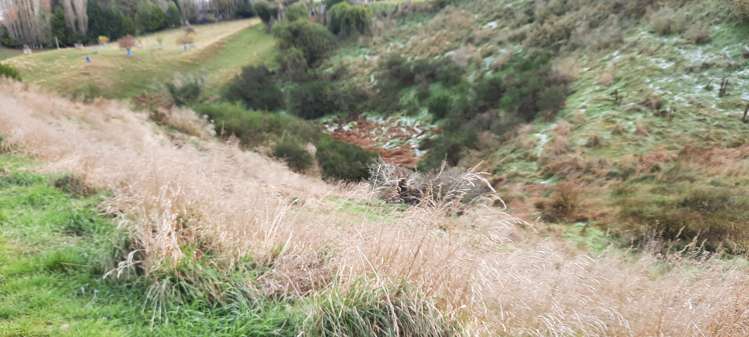 Milton Highway Balclutha_1