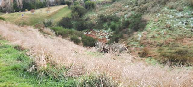 Milton Highway Balclutha_1