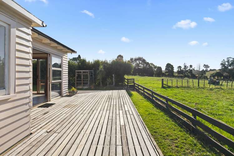 7 Punga Punga Road Pukekawa_8