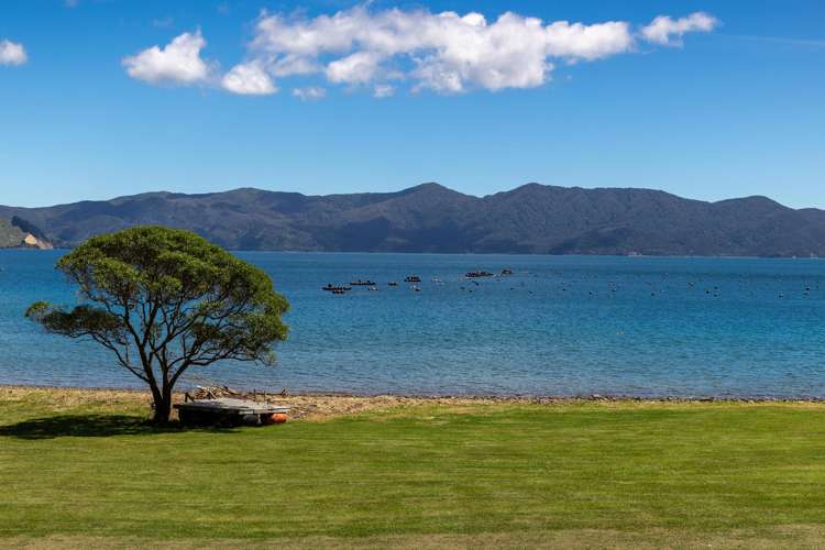 358 St Kilda Road Admiralty Bay_14