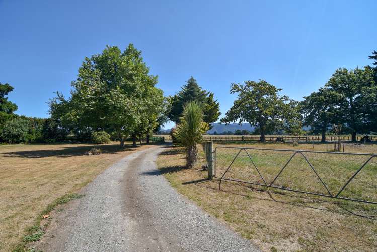 339 Watersons Line Carterton_16