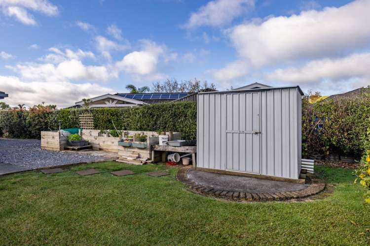 4 The Anchorage Haruru_17