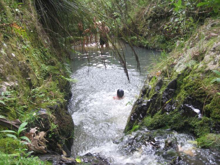 1242 Russell Road Helena Bay_9