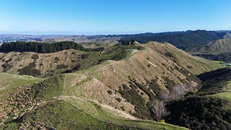 5679 State Highway 1 Mangaweka_7