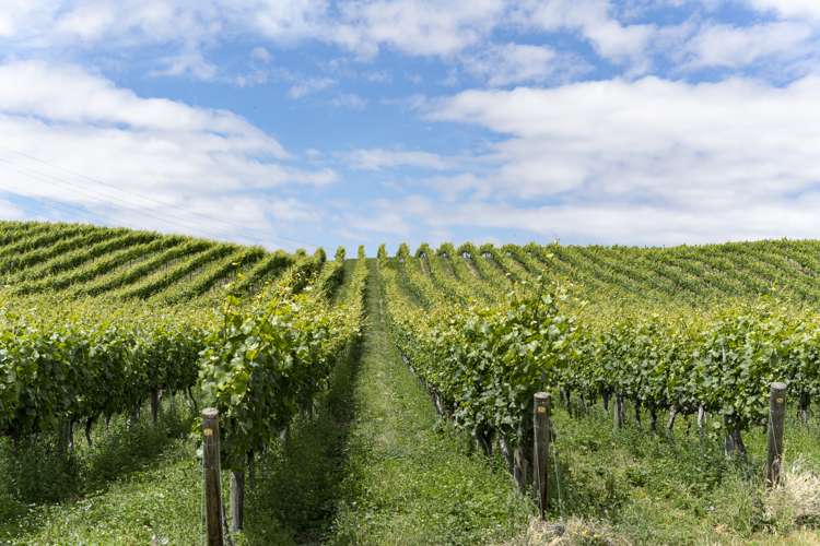 Cairnmuir Road Nevis_14