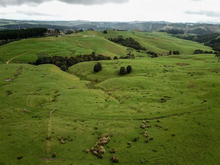 State Highway One Taupo_24