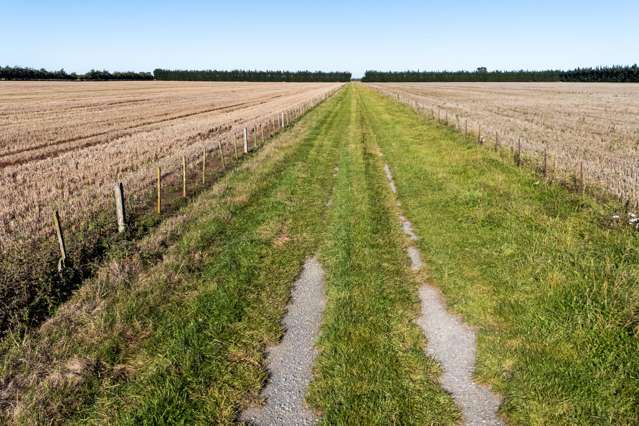 1234 Back Track Ashburton_2