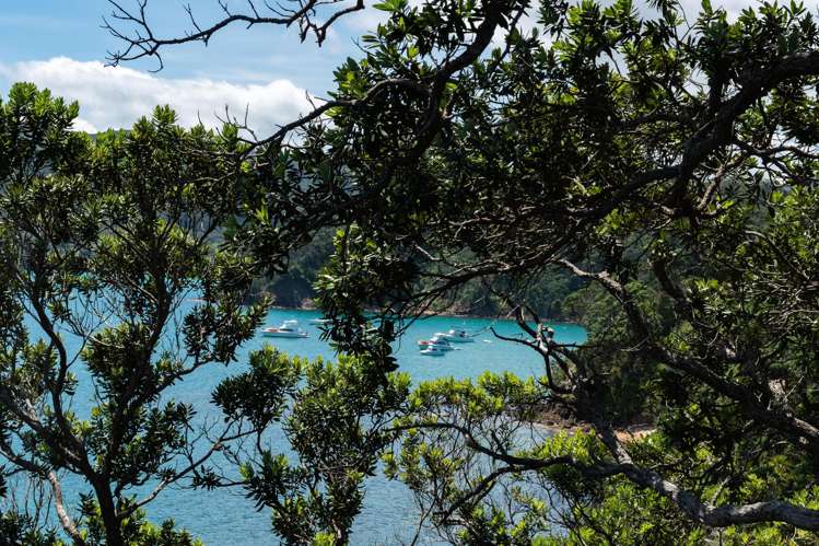 179 Shoal Bay Road Great Barrier Island_16