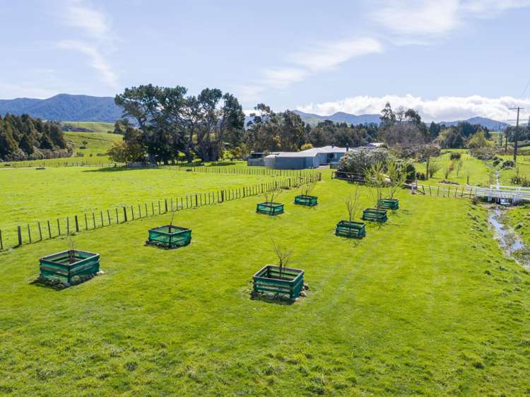 1827 State Highway 2 Masterton_22