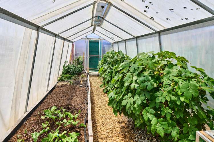 22 Reese Jones Grove Maungaraki_20