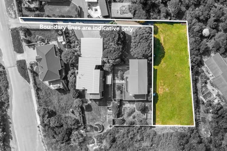 289 Peka Peka Road Peka Peka_3