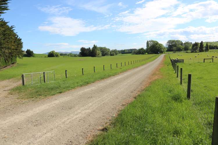 386 Otama Valley Road Gore Surrounds_17