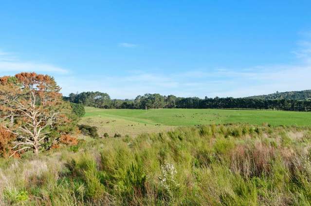 Lot 1/1625 Kaipara Coast Highway Kaukapakapa_4