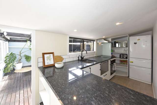 163 Milton Street Somerfield_2