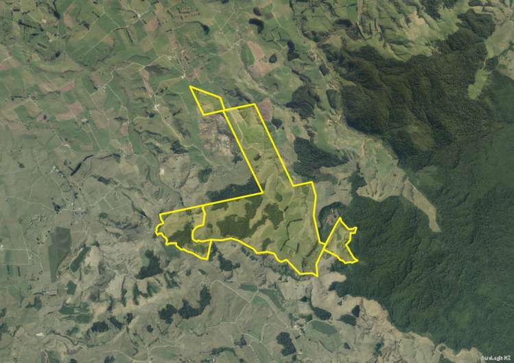 134 Millard Road Maihiihi_22