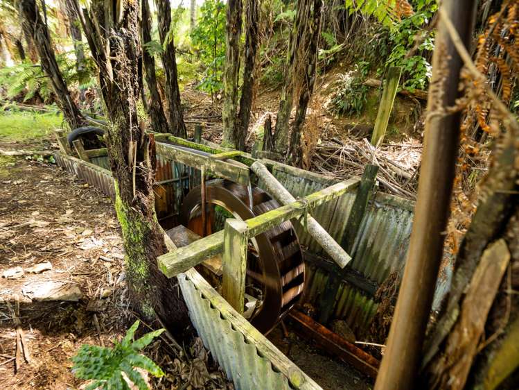 371 Esdaile Road Whakamarama_28