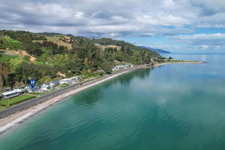 Houses for sale in Coromandel