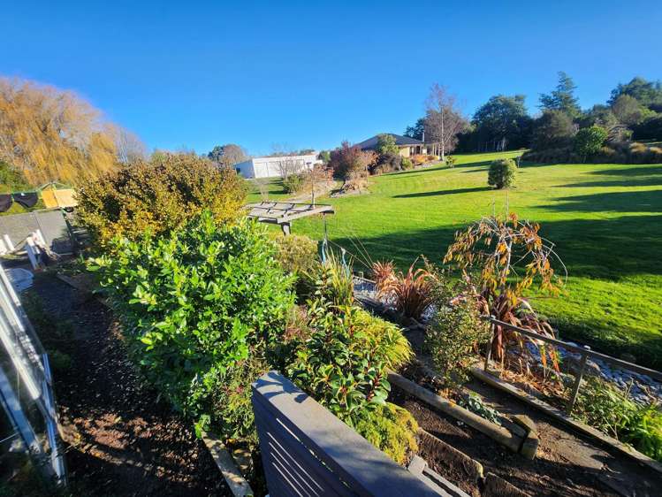 33 Essex Street Weston_21