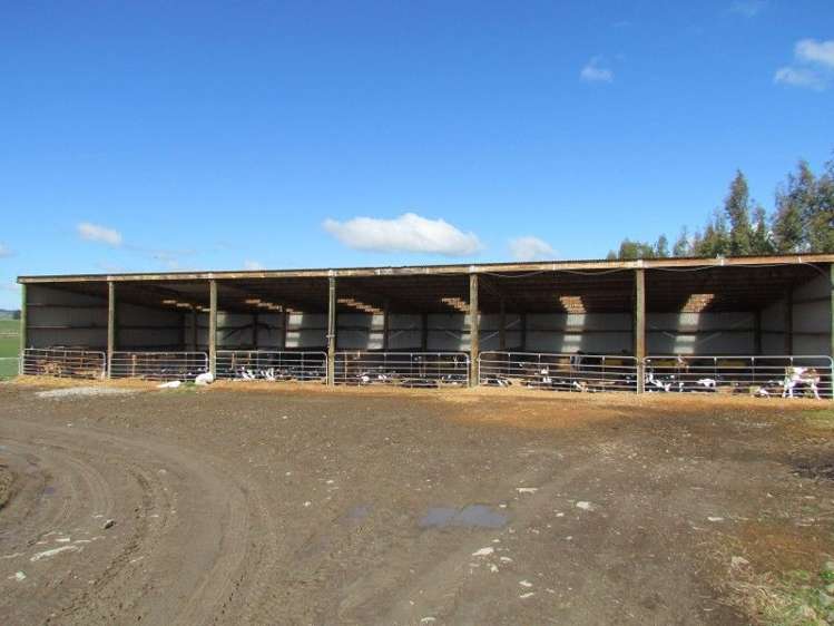 69 Adam Fleming Road Gore Surrounds_10