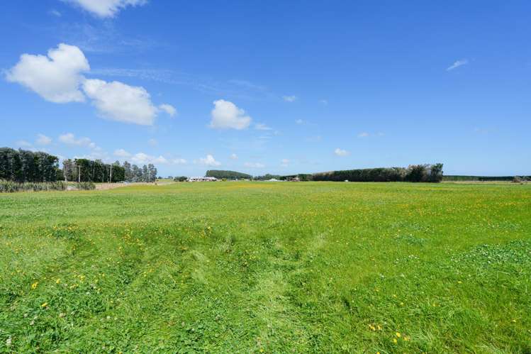 80 Longbush South Road Longbush_5