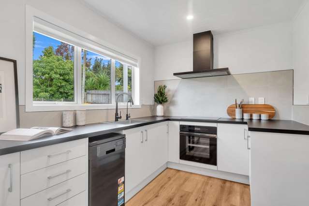 1/11 Manson Avenue Stoke_2