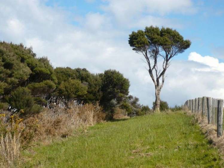 114 Mckenzie Road Kerikeri Surrounds_17