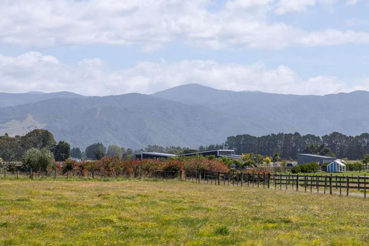 22 Spencer Lane Greytown_11