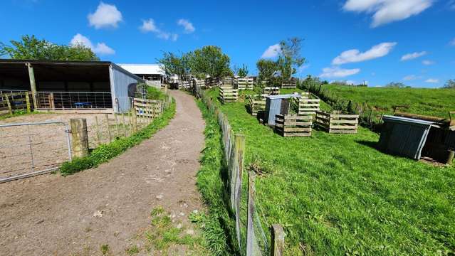 133 Kaimata Road Kaimata_4