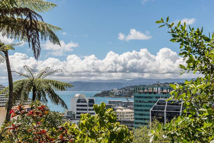 251 The Terrace Te Aro_1