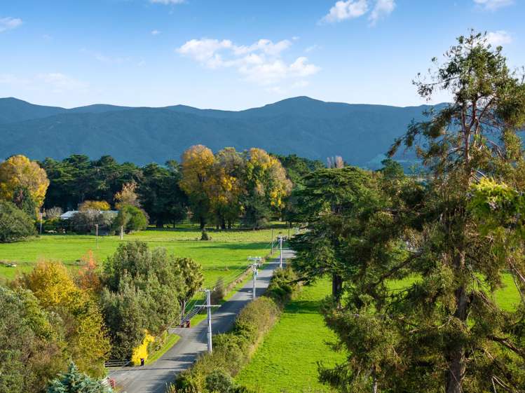 93 Kuratawhiti Street Greytown_31