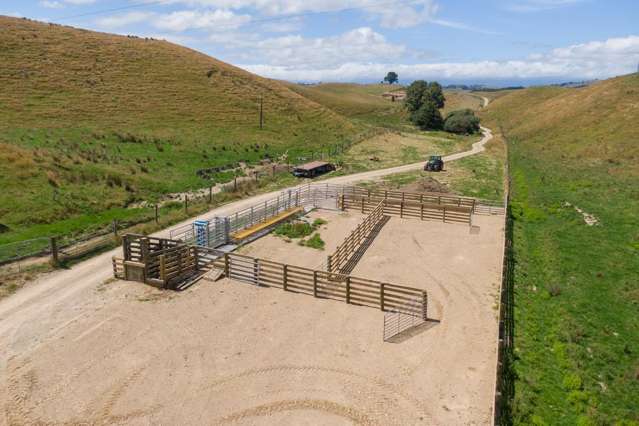 1618 Waituna Tapuae Waituna West_1